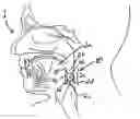 Fig. 01 - Apparatus and methods for treating sleep apnea