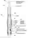 Fig. 01 - Logging-while-coring method and apparatus