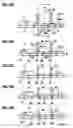 Fig. 08 - Synchronizer for transmission