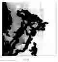 Fig. 02 - Dispersed zero-valent iron colloids