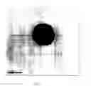 Fig. 06 - Dispersed zero-valent iron colloids