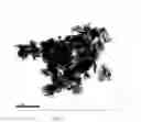Fig. 08 - Dispersed zero-valent iron colloids