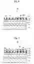 Fig. 05 - Method for filling concave portions of concavo-convex pattern and method for manufacturing magnetic recording medium