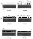 Fig. 14 - Electrochemical fabrication methods incorporating dielectric materials and/or using dielectric substrates