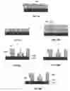 Fig. 22 - Electrochemical fabrication methods incorporating dielectric materials and/or using dielectric substrates