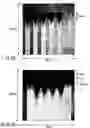 Fig. 07 - Laser crystallization apparatus and laser crystallization method