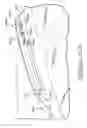 Fig. 28 - Vehicle article carrier having stowable cross bars