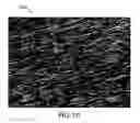 Fig. 11 - Applications of nano-enabled large area macroelectronic substrates incorporating nanowires and nanowire composites