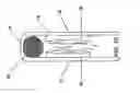 Fig. 12 - Dispenser for scents or aromas