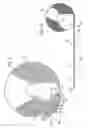 Fig. 07 - Reduced ply separation tail seal