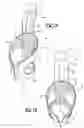 Fig. 02 - Floor located vehicle container holder