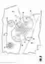 Fig. 08 - Vibration isolation support system for vehicle engine and transmission