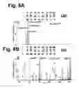 Fig. 16 - Electron transfer dissociation for biopolymer sequence mass spectrometric analysis