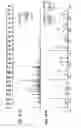 Fig. 18 - Electron transfer dissociation for biopolymer sequence mass spectrometric analysis