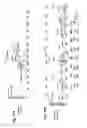 Fig. 19 - Electron transfer dissociation for biopolymer sequence mass spectrometric analysis