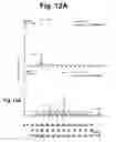 Fig. 20 - Electron transfer dissociation for biopolymer sequence mass spectrometric analysis