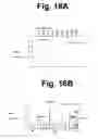 Fig. 25 - Electron transfer dissociation for biopolymer sequence mass spectrometric analysis
