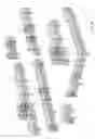 Fig. 04 - Decorative fencing system