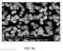 Fig. 07 - Nitride semiconductor device and method of manufacturing the same