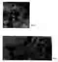 Fig. 05 - Method of preparing membrane electrode assemblies with aerogel supported catalyst