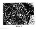 Fig. 02 - Compositions and composites of cellulosic and lignocellulosic materials and resins, and methods of making the same