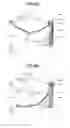 Fig. 09 - Paper sheet accumulating/feeding apparatus