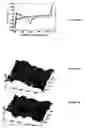 Fig. 05 - Electrically conductive polycrystalline diamond and particulate metal based electrodes