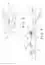 Fig. 04 - Safety warning light device for vehicle