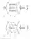 Fig. 02 - Polarizing plates grading method