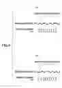 Fig. 05 - Wobble signal demodulating method, wobble signal demodulating circuit and optical disk apparatus