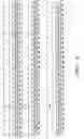 Fig. 04 - Method and apparatus for processing header bits and payload bits
