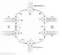 Fig. 01 - Apparatus and method for rapid detection of unidirectional breaks in a network ring