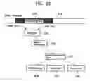 Fig. 20 - Content supplying apparatus and method, and recording medium
