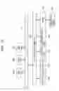 Fig. 15 - Information processing apparatus and method, recording medium, and program
