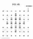 Fig. 44 - Information processing apparatus and method, recording medium, and program