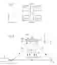 Fig. 02 - Optical sensor and optical process for the characterization of a chemical and/or bio-chemical substance