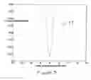 Fig. 04 - Methods for signal transmission in optical fiber