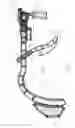 Fig. 08 - Self locking ergonomic support assembly for optical devices