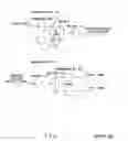 Fig. 02 - Wavelength division-multiplex system