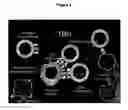 Fig. 02 - Tumor/B-cell hybrid cells and uses thereof
