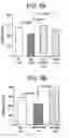 Fig. 06 - Methods for diagnosing and treating hemostatic disorders by modulating P-selectin activity