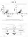 Fig. 07 - Methods for diagnosing and treating hemostatic disorders by modulating P-selectin activity