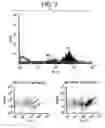 Fig. 08 - Methods for diagnosing and treating hemostatic disorders by modulating P-selectin activity
