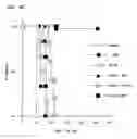 Fig. 12 - Methods for inhibiting an immune response by blocking the GP39/CD40 and CTLA4/CD28/B7 pathways and compositions for use therewith