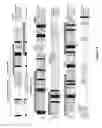 Fig. 03 - Mitogenic oxygenase regulators