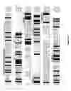 Fig. 04 - Mitogenic oxygenase regulators