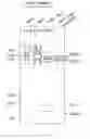Fig. 02 - Nucleic acid amplification in yeast