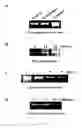 Fig. 03 - Nucleic acid amplification in yeast