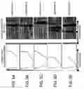 Fig. 05 - Semiconductor fabricating apparatus and method and apparatus for determining state of semiconductor fabricating process
