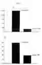 Fig. 10 - Uridine administration improves phosphatide synthesis, synaptic transmission and cogntive function